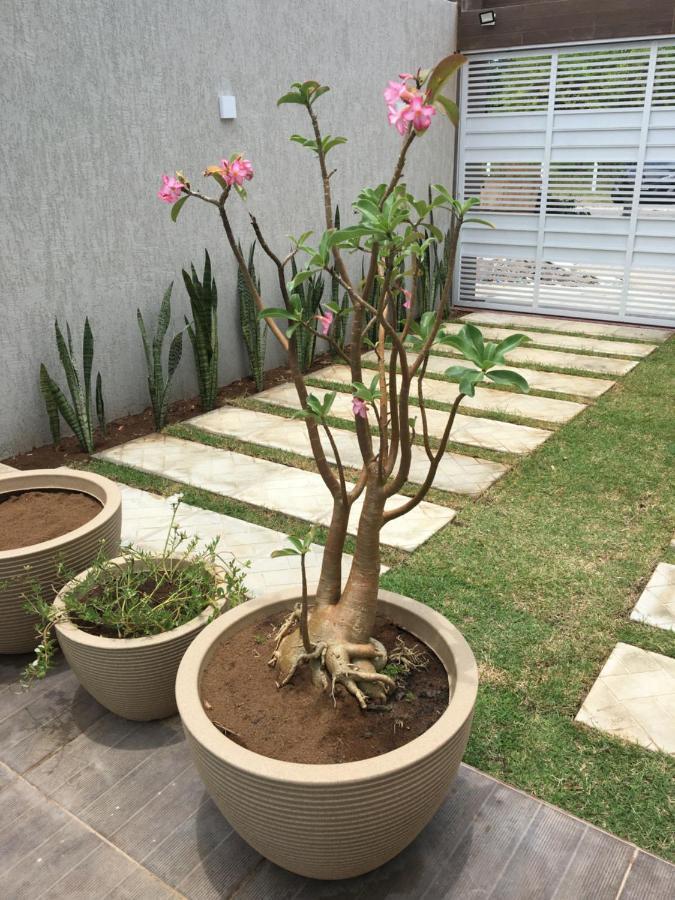 Casa De Praia Tamandaré Buitenkant foto